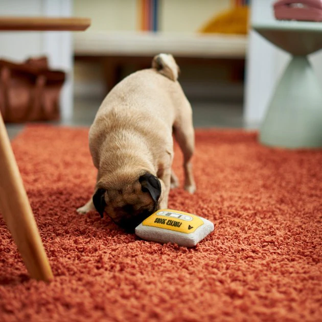 Frisco Retro Cassette Dense Foam Squeaky Dog Toy 5 Frisco Retro Cassette Dense Foam Squeaky Dog Toy - Image 3