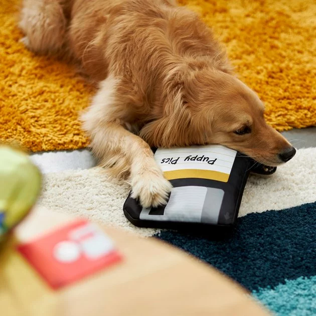 Frisco Retro Floppy Disc Ballistic Nylon Plush Squeaky Dog Toy 5 Frisco Retro Floppy Disc Ballistic Nylon Plush Squeaky Dog Toy - Image 3