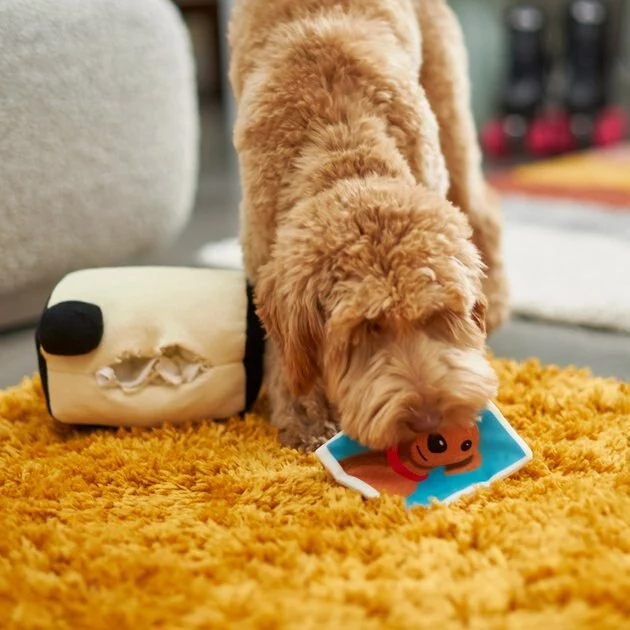 Frisco Retro 2-in-1 Camera Plush Squeaky Dog Toy 5 Frisco Retro 2-in-1 Camera Plush Squeaky Dog Toy - Image 3