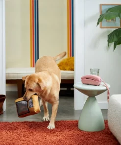 Frisco Retro Television Ballistic Nylon Plush Squeaky Dog Toy -Dog Cat Corner 230308 PT3. SY630 V1601947325