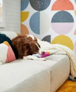 Frisco Retro Lava Lamp Ballistic Nylon Plush Squeaky Dog Toy -Dog Cat Corner 230310 PT3. SY630 V1601947330