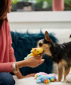 Frisco Retro Colorful Pony Plush Squeaky Dog Toy -Dog Cat Corner 230357 PT3. SY630 V1601947361