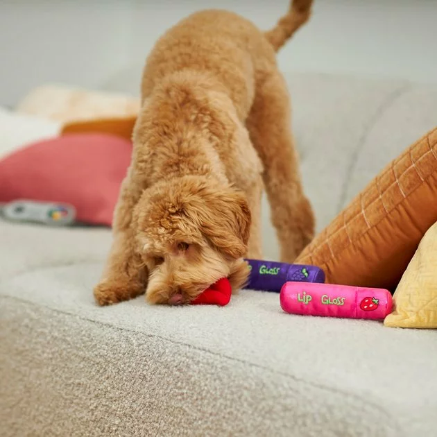 Frisco Retro Lip Gloss Plush Squeaky Dog Toy 5 Frisco Retro Lip Gloss Plush Squeaky Dog Toy - Image 3