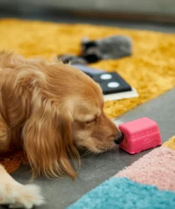 Frisco Retro Funky Van TPE Treat Dispenser Dog Toy 7 Frisco Retro Funky Van TPE Treat Dispenser Dog Toy -Dog Cat Corner 230382 PT3. SY630 V1602639677