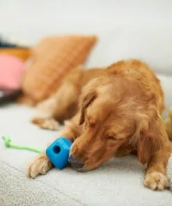 Frisco Retro PC Mouse Rubber Tug & Fetch Dog Toy -Dog Cat Corner 230385 PT3. SY630 V1606953426