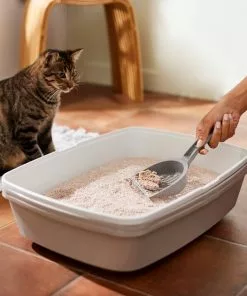 Frisco Natural Lightly Scented Clumping Grass Cat Litter -Dog Cat Corner 230714 PT4. SY630 V1659023184