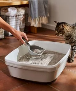 Frisco Lightweight Unscented Clumping Cat Litter -Dog Cat Corner 230716 PT4. SY630 V1659023918