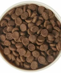 Frisco Melamine Dog & Small Pet Bowl with Bamboo Base -Dog Cat Corner 232065 PT6. SY630 V1608597165