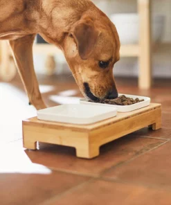 Frisco Square Melamine Dog & Cat Bowl Set with Bamboo Stand -Dog Cat Corner 232076 PT8. SY630 V1605757015