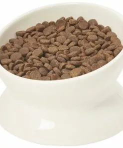 Frisco Double-Sided Ceramic Elevated Cat Bowl, 1.25 cups -Dog Cat Corner 232081 PT1. SY630 V1605109355