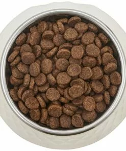 Frisco Hammered Melamine Stainless Steel Dog Bowl 11 Frisco Hammered Melamine Stainless Steel Dog Bowl -Dog Cat Corner 232083 PT3. SY630 V1609885089