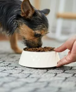 Frisco Hammered Melamine Stainless Steel Dog Bowl 13 Frisco Hammered Melamine Stainless Steel Dog Bowl -Dog Cat Corner 232083 PT8. SY630 V1605753745