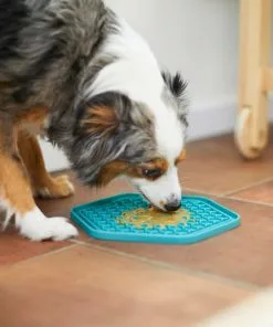 Frisco Silicone Treat Lick Mat, 2 Count 14 Frisco Silicone Treat Lick Mat, 2 Count -Dog Cat Corner 232099 PT7. SY630 V1605739324