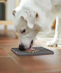 Frisco Silicone Treat Lick Mat, 2 Count 15 Frisco Silicone Treat Lick Mat, 2 Count -Dog Cat Corner 232099 PT8. SY630 V1605746823