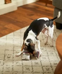 Frisco Ballot Box Hide-and-Seek Puzzle Dog Toy Refill, 3 count -Dog Cat Corner 233571 PT3. SY630 V1600973757