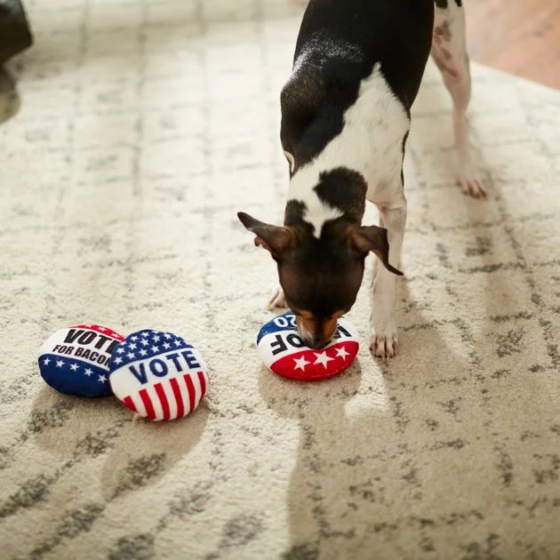 Frisco Plush Squeaky Voting Pins Dog Toy, 3 count 5 Frisco Plush Squeaky Voting Pins Dog Toy, 3 count - Image 3