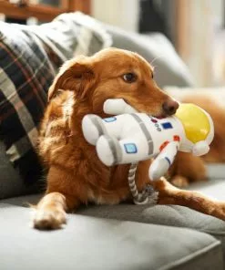 Frisco Ballistic Nylon Plush with Rope Squeaky Astronaut Dog Toy -Dog Cat Corner 233585 PT3. SY630 V1600973761