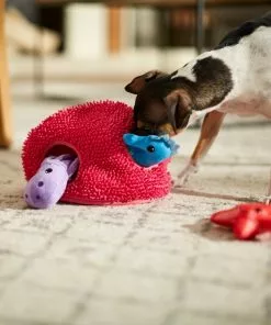 Frisco Hide & Seek Plush Coral Puzzle Dog Toy -Dog Cat Corner 233595 PT3. SY630 V1600973820