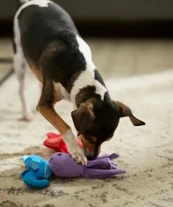 Frisco Hide & Seek Plush Coral Puzzle Dog Toy Refill, 3 count 7 Frisco Hide & Seek Plush Coral Puzzle Dog Toy Refill, 3 count -Dog Cat Corner 233597 PT3. SY630 V1600973853