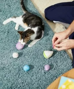 Frisco Birthday Bundle Cat Toy with Catnip, 5 count -Dog Cat Corner 233599 PT2. SY630 V1600974070