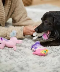 Frisco Hide & Seek Plush Magical Castle Puzzle Dog Toy Refill, 3 count 7 Frisco Hide & Seek Plush Magical Castle Puzzle Dog Toy Refill, 3 count -Dog Cat Corner 233603 PT3. SY630 V1600974077