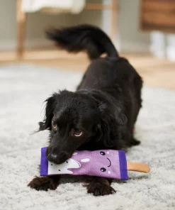 Frisco Popsicle Firehose Squeaky Dog Toy 7 Frisco Popsicle Firehose Squeaky Dog Toy -Dog Cat Corner 233607 PT3. SY630 V1600974055