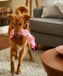 Frisco Flamingo Firehose Squeaky Dog Toy -Dog Cat Corner 233609 PT3. SY630 V1600974084