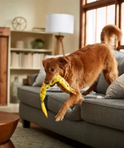 Frisco Giraffe Firehose Squeaky Dog Toy 7 Frisco Giraffe Firehose Squeaky Dog Toy -Dog Cat Corner 233611 PT3. SY630 V1600974060