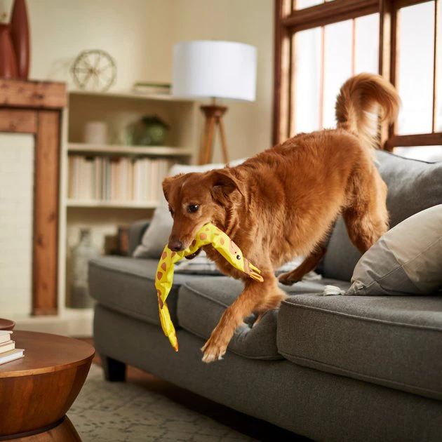 Frisco Giraffe Firehose Squeaky Dog Toy 5 Frisco Giraffe Firehose Squeaky Dog Toy - Image 3