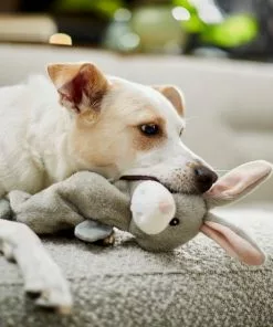 Frisco Bungee Plush Squeaky Bunny Dog Toy -Dog Cat Corner 233612 PT3. SY630 V1600974360