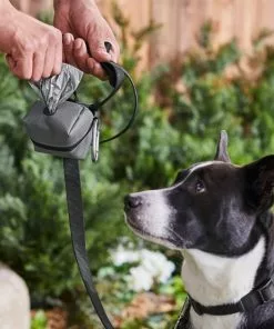 Frisco Large Size Dog Poop Bags with Fabric Dispenser, 30 count -Dog Cat Corner 237013 PT6. SY630 V1610762789