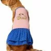 Frisco Bee Mine Dog & Cat Dress -Dog Cat Corner 238176 MAIN. SY630 V1607452325