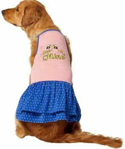Frisco Bee Mine Dog & Cat Dress