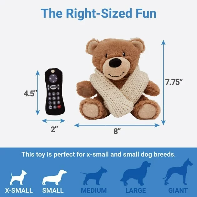 Frisco Zoomies & Chill Cozy Blanket Bear Plush Squeaky Dog Toy 4 Frisco Zoomies & Chill Cozy Blanket Bear Plush Squeaky Dog Toy - Image 2
