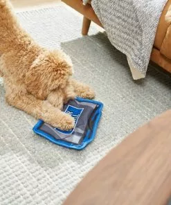 Frisco Zoomies & Chill TV Flat Plush Squeaky Dog Toy -Dog Cat Corner 241685 PT6. SY630 V1610768399