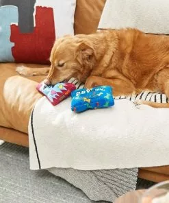 Frisco Zoomies & Chill Candy Plush Squeaky Dog Toy, 2 count -Dog Cat Corner 241687 PT6. SY630 V1610768450