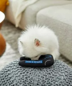 Frisco Zoomies & Chill Sweatpants Plush Squeaky Dog Toy -Dog Cat Corner 241691 PT6. SY630 V1610768389