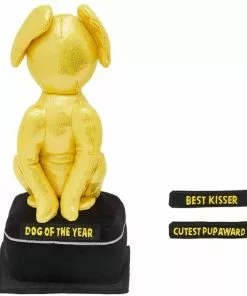 Frisco Zoomies & Chill Award Plush Squeaky Dog Toy