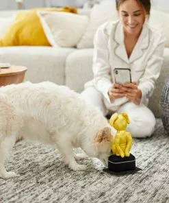 Frisco Zoomies & Chill Award Plush Squeaky Dog Toy -Dog Cat Corner 241705 PT6. SY630 V1610768309