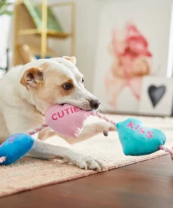 Frisco Candy Hearts Plush with Rope Squeaky Dog Toy -Dog Cat Corner 241725 PT6. SY630 V1607989337