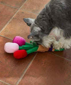 Frisco Rose Bouquet Plush Squeaky Dog Toy 7 Frisco Rose Bouquet Plush Squeaky Dog Toy -Dog Cat Corner 241733 PT6. SY630 V1607990908