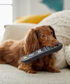 Frisco Zoomies & Chill Remote Latex Squeaky Dog Toy -Dog Cat Corner 241753 PT6. SY630 V1610768496