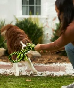 Frisco Dual Handle Neon Rope Squeaky Dog Toy, Yellow & Gray -Dog Cat Corner 242129 PT2. SY630 V1605208706