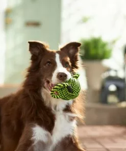 Frisco Dual Handle Neon Ball Squeaky Dog Toy, Yellow & Gray -Dog Cat Corner 242131 PT2. SY630 V1605208693