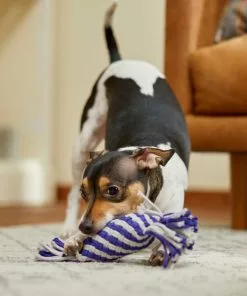 Frisco Flat Rope Squeaky Dog Toy, Purple & Gray 7 Frisco Flat Rope Squeaky Dog Toy, Purple & Gray -Dog Cat Corner 242133 PT2. SY630 V1605208701