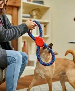 Frisco Figure 8 Rope Dog Toy, Blue & Red 7 Frisco Figure 8 Rope Dog Toy, Blue & Red -Dog Cat Corner 242135 PT2. SY630 V1605208635
