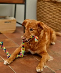 Frisco 4-Knot Tri-Color Rope Dog Toy 7 Frisco 4-Knot Tri-Color Rope Dog Toy -Dog Cat Corner 242139 PT2. SY630 V1605208764