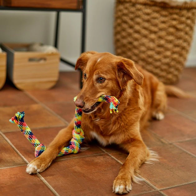 Frisco 4-Knot Tri-Color Rope Dog Toy 5 Frisco 4-Knot Tri-Color Rope Dog Toy - Image 3