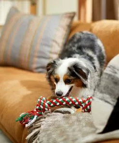 Frisco Double Knot Tri-Color Rope Dog Toy -Dog Cat Corner 242149 PT2. SY630 V1605208647