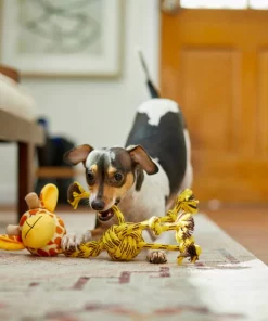 Frisco Giraffe Rope Squeaky Dog Toy -Dog Cat Corner 242165 PT2. SY630 V1609336966